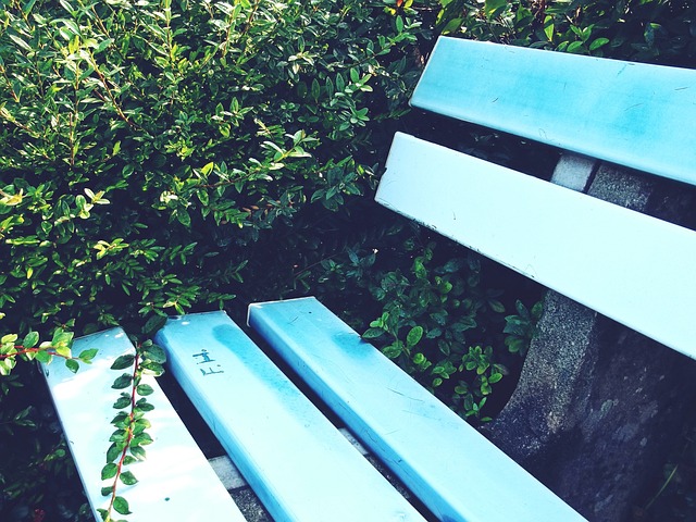 另类追星！美女主持张纯烨与偶像张稀哲一起合拍舞蹈视频