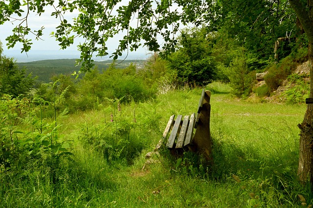 粤港澳逾300名青少年空手道选手同台竞技