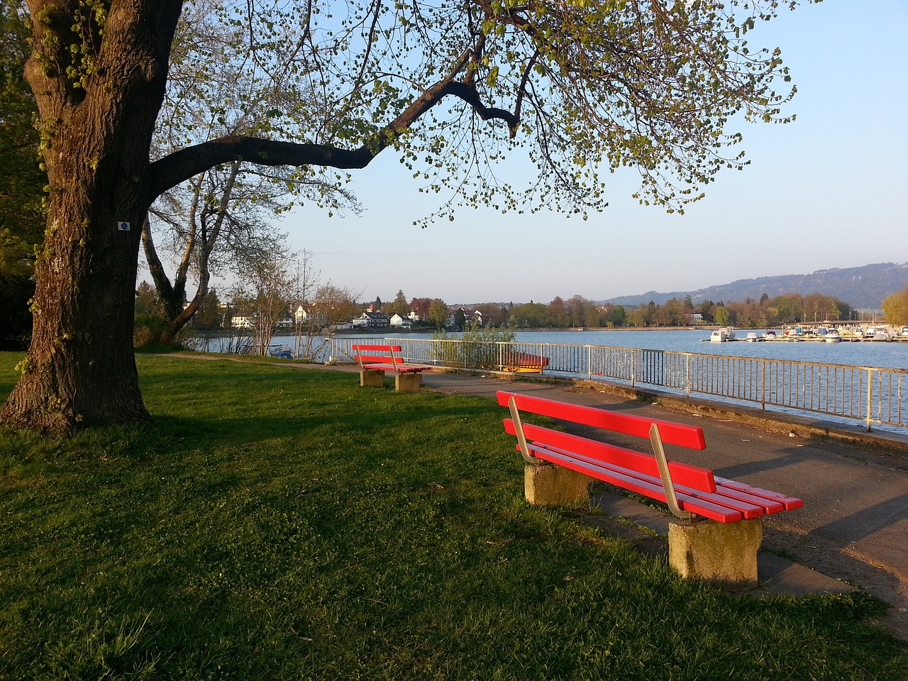 银发经济的 银发经济的