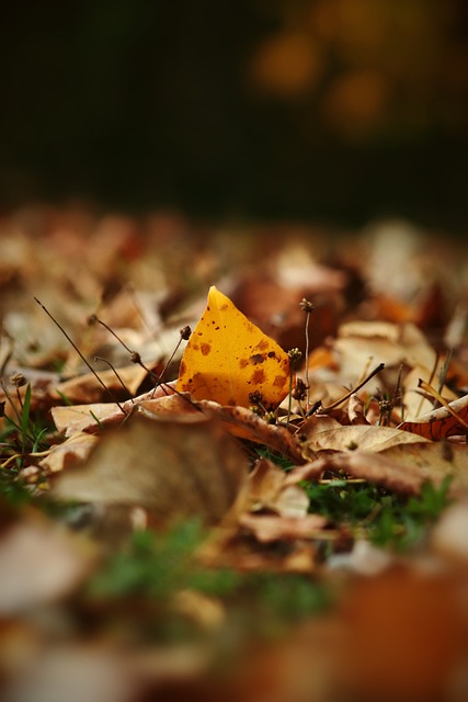 时间已变得 时间已变得