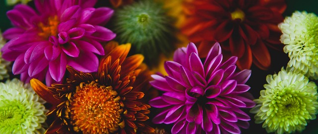 埋下了无尽 埋下了无尽