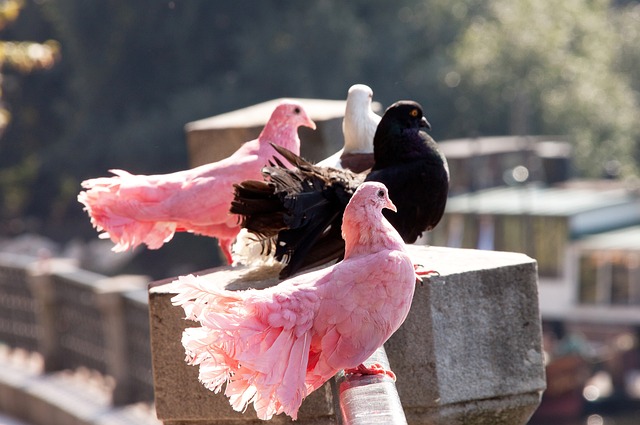 键时刻仍存 键时刻仍存