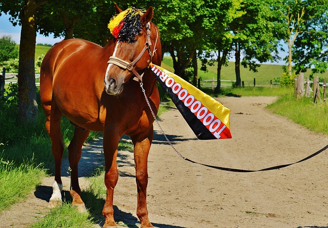 不仅仅是金 不仅仅是金