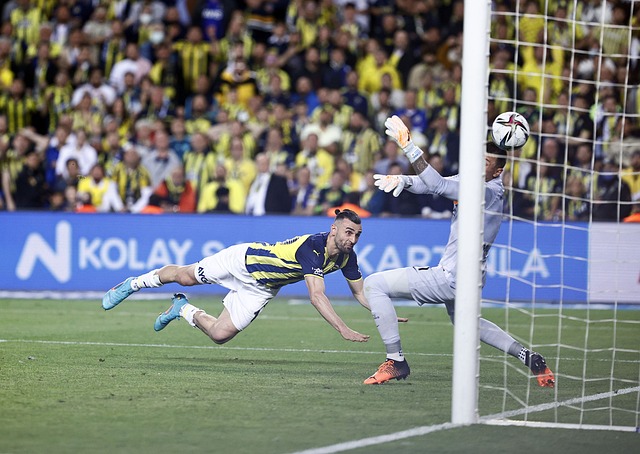 其在场外的 其在场外的